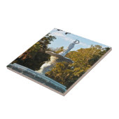 Savannah Georgia | Fountain Forsyth Park Tegeltje (Zijkant)