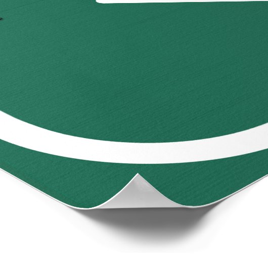 Savannah Georgia ga Interstate Highway Freeway : Poster (Hoek)