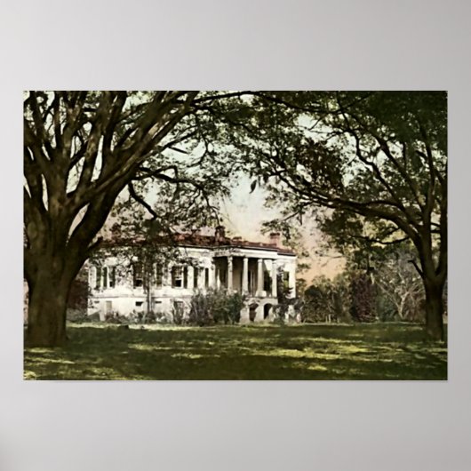 Savannah, Georgia Hermitage Plantation Poster (Voorkant)