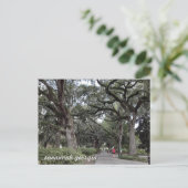 savannah georgia in het briefkaart van het park (Staand voorkant)