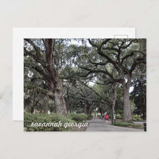 savannah georgia in het briefkaart van het park (Voorkant / Achterkant)