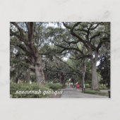 savannah georgia in het briefkaart van het park (Voorkant)