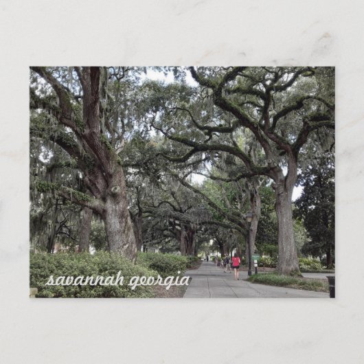 savannah georgia in het briefkaart van het park (Voorkant)