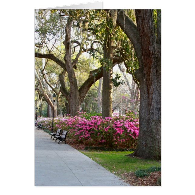 Savannah Georgia in Spring Forsyth Park Azaleas Oa (Voorkant)