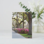 Savannah Georgia in Spring Forsyth Park Azaleas Oa Briefkaart (Staand voorkant)