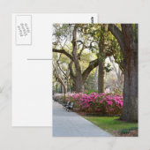 Savannah Georgia in Spring Forsyth Park Azaleas Oa Briefkaart (Voorkant / Achterkant)