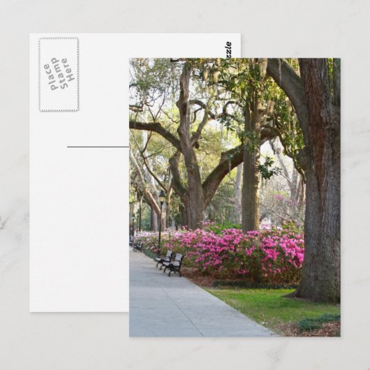 Savannah Georgia in Spring Forsyth Park Azaleas Oa Briefkaart (Voorkant / Achterkant)