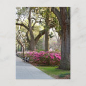 Savannah Georgia in Spring Forsyth Park Azaleas Oa Briefkaart (Voorkant)