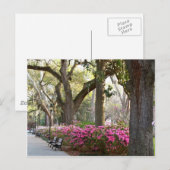 Savannah Georgia in Spring Forsyth Park Azaleas Oa Briefkaart (Voorkant / Achterkant)