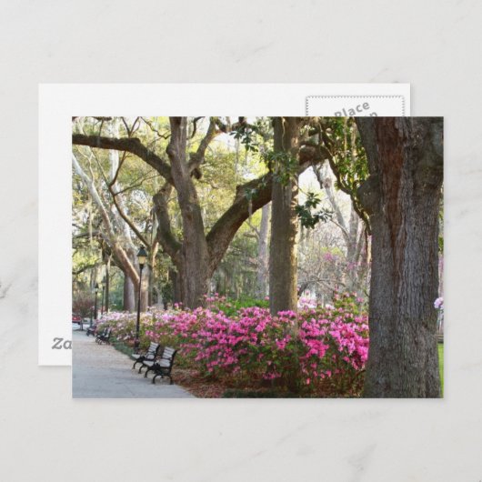 Savannah Georgia in Spring Forsyth Park Azaleas Oa Briefkaart (Voorkant / Achterkant)