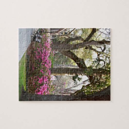 Savannah Georgia in Spring Forsyth Park Azaleas Oa Legpuzzel (Horizontaal)