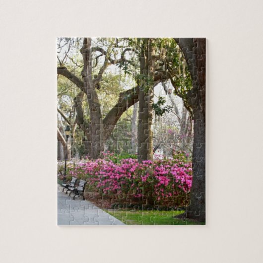 Savannah Georgia in Spring Forsyth Park Azaleas Oa Legpuzzel (Verticaal)
