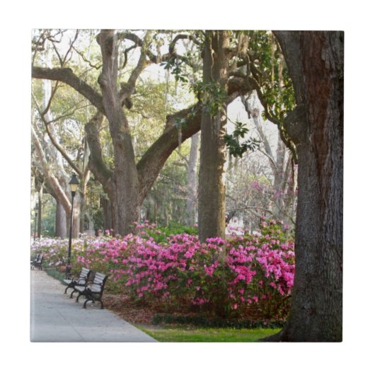 Savannah Georgia in Spring Forsyth Park Azaleas Oa Tegeltje (Voorkant)
