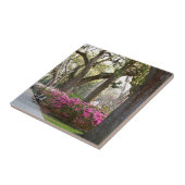 Savannah Georgia in Spring Forsyth Park Azaleas Oa Tegeltje (Zijkant)