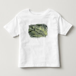 Savannah, Georgia, levende eik behangen met Kinder Shirts