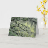 Savannah, Georgia, levende eik-boom die met Kaart (Gele Bloem)