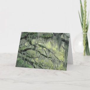 Savannah, Georgia, levende eik-boom die met Kaart