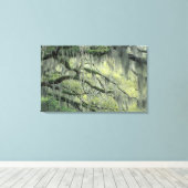 Savannah, Georgia, levende eik-boom gedraaid met Canvas Afdruk (Insitu (Houten vloer))