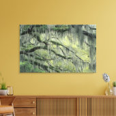 Savannah, Georgia, levende eik-boom gedraaid met Canvas Afdruk (Insitu (Woonkamer))