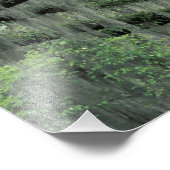 Savannah, Georgia, levende eik-boom gedraaid met Foto Afdruk (Hoek)