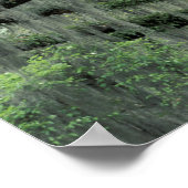 Savannah, Georgia, levende eik-boom gedraaid met Poster (Hoek)