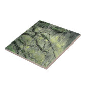 Savannah, Georgia, levende eik-boom gedraaid met Tegeltje (Zijkant)