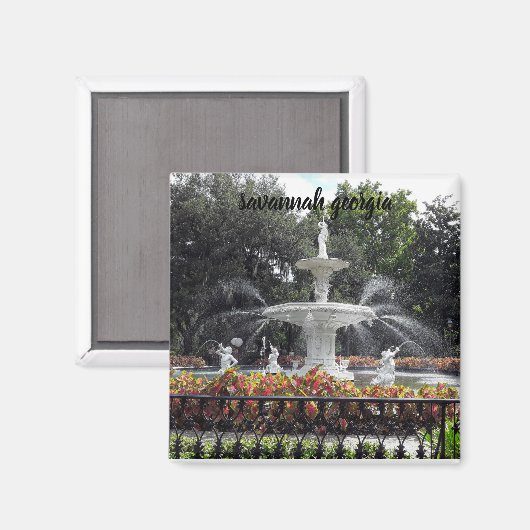 savannah georgia magneet (Voorkant / Achterkant)