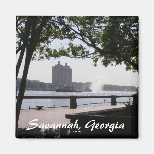 Savannah, Georgia Magneet (Voorkant)