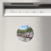 Savannah, Georgia Magneet (Insitu (Vaatwasser))