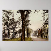 Savannah, Georgia Oglethorpe Avenue Poster (Voorkant)