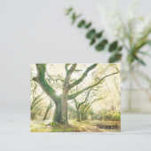 Savannah Georgia Southern Live Oak Tree Briefkaart (Staand voorkant)