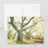 Savannah Georgia Southern Live Oak Tree Briefkaart (Voorkant / Achterkant)