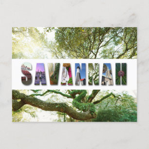 Savannah Georgia Southern Live Oak Tree Briefkaart