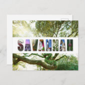 Savannah Georgia Southern Live Oak Tree Briefkaart (Voorkant / Achterkant)