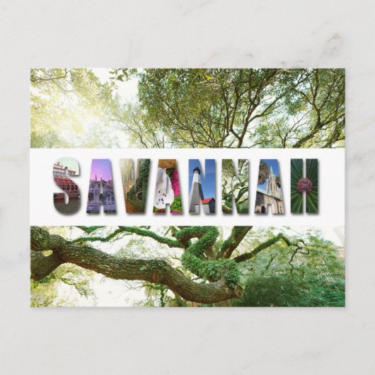 Savannah Georgia Southern Live Oak Tree Briefkaart (Voorkant)