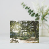 Savannah Georgia Southern Live Oak Tree Park Briefkaart (Staand voorkant)