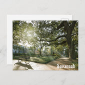 Savannah Georgia Southern Live Oak Tree Park Briefkaart (Voorkant / Achterkant)
