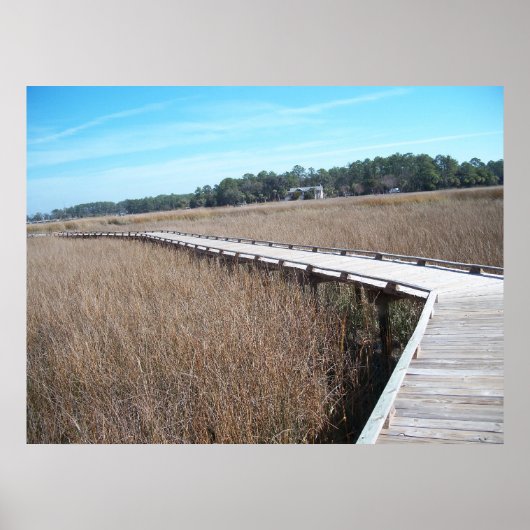 Savannah Georgia Tybee Island Path Trail Poster GA (Voorkant)