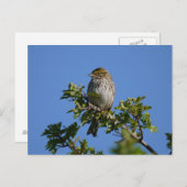 Savannah Gorheerlijk Briefkaart (Voorkant / Achterkant)