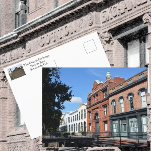 Savannah Katoenwisselaar Rij Fotografisch Briefkaart