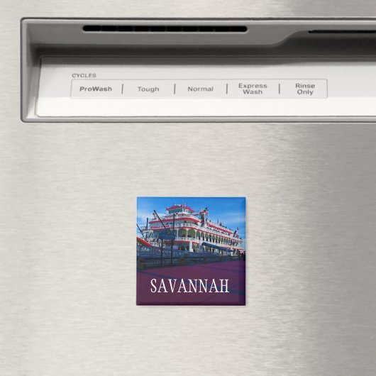 savannah magnet 2 (Insitu (Vaatwasser))