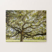 Savannah Mighty Oak Souvenir uitdagende Puzzle Legpuzzel (Horizontaal)