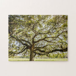 Savannah Mighty Oak Souvenir uitdagende Puzzle Legpuzzel
