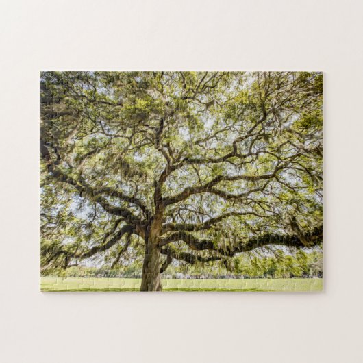 Savannah Mighty Oak Souvenir uitdagende Puzzle Legpuzzel (Horizontaal)