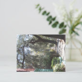 Savannah Moss Briefkaart (Staand voorkant)