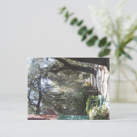 Savannah Moss Briefkaart (Staand voorkant)