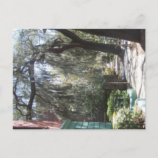 Savannah Moss Briefkaart