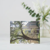 Savannah Mossy Cathedral Briefkaart (Staand voorkant)