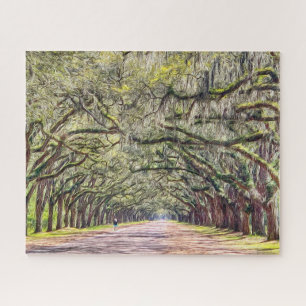 Savannah Oaks op Wormsloe Challchallenge Puzzle Legpuzzel