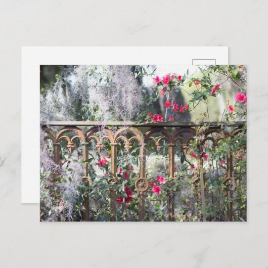 Savannah Post Kaart Laurel Grove (Voorkant / Achterkant)